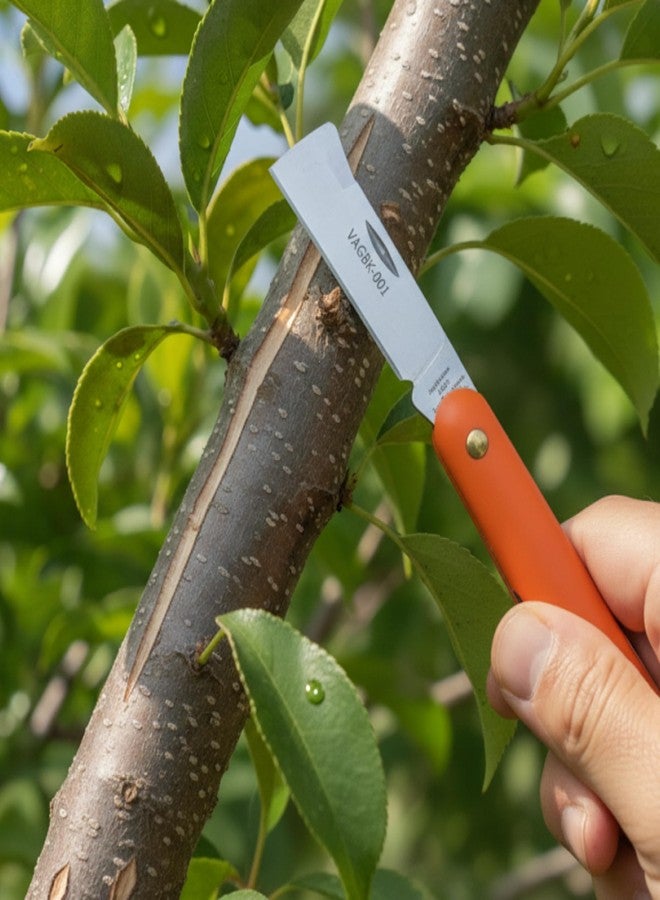 قاطع فينكا الاحترافي للتطعيم والترقيد 7 بوصات | أداة دقيقة خفيفة الوزن من الفولاذ المقاوم للصدأ للبستنة ومشتل النباتات - Image 4